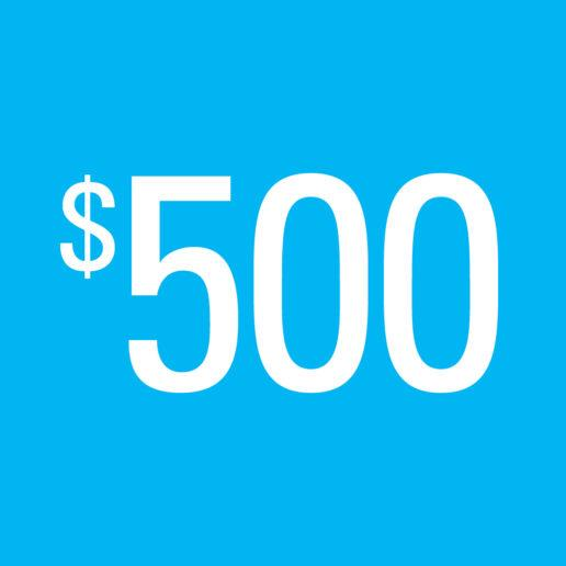 Skydive Australia Gift Voucher $500 AUD